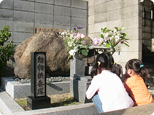 【ペット火葬を大阪のペットマザーで終えたご家族からのご意見】