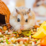 ハムスターの火葬で骨は残る?ご遺骨の残り方と供養方法を徹底解説