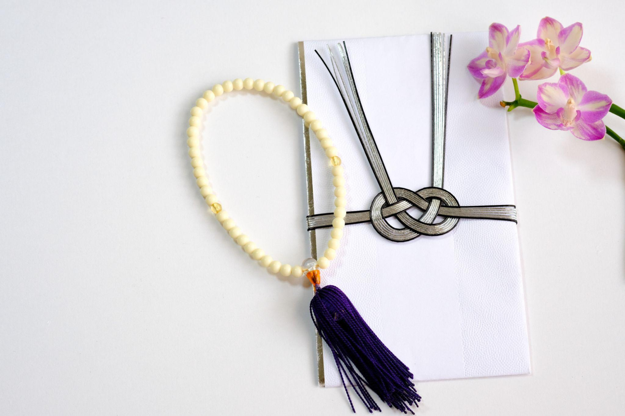 犬の葬儀に香典は必要？一般的な考え方と基本ルール