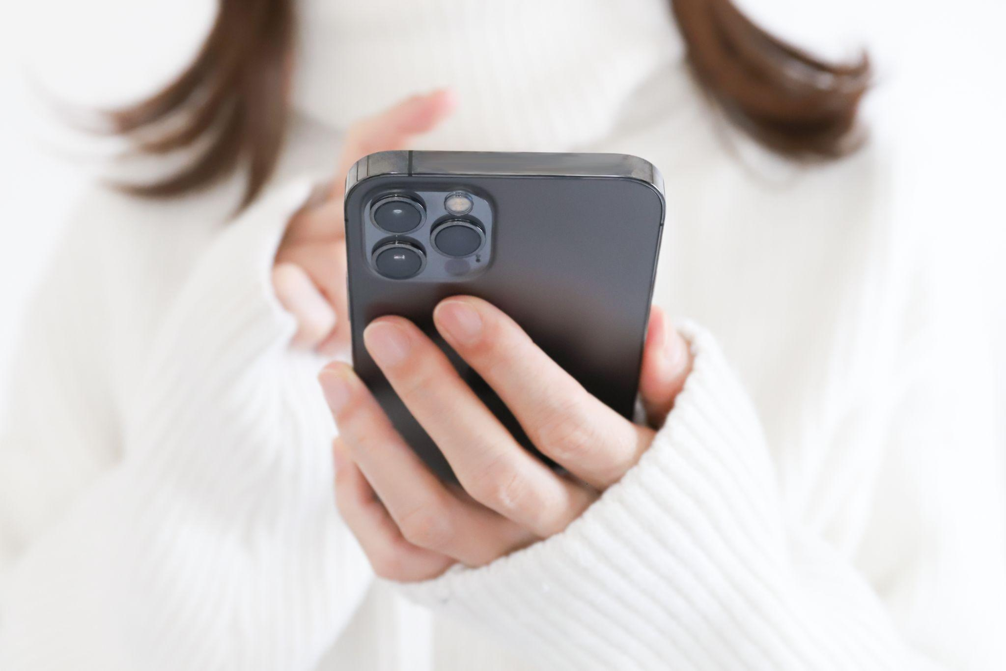 大型犬の葬儀・火葬の流れ