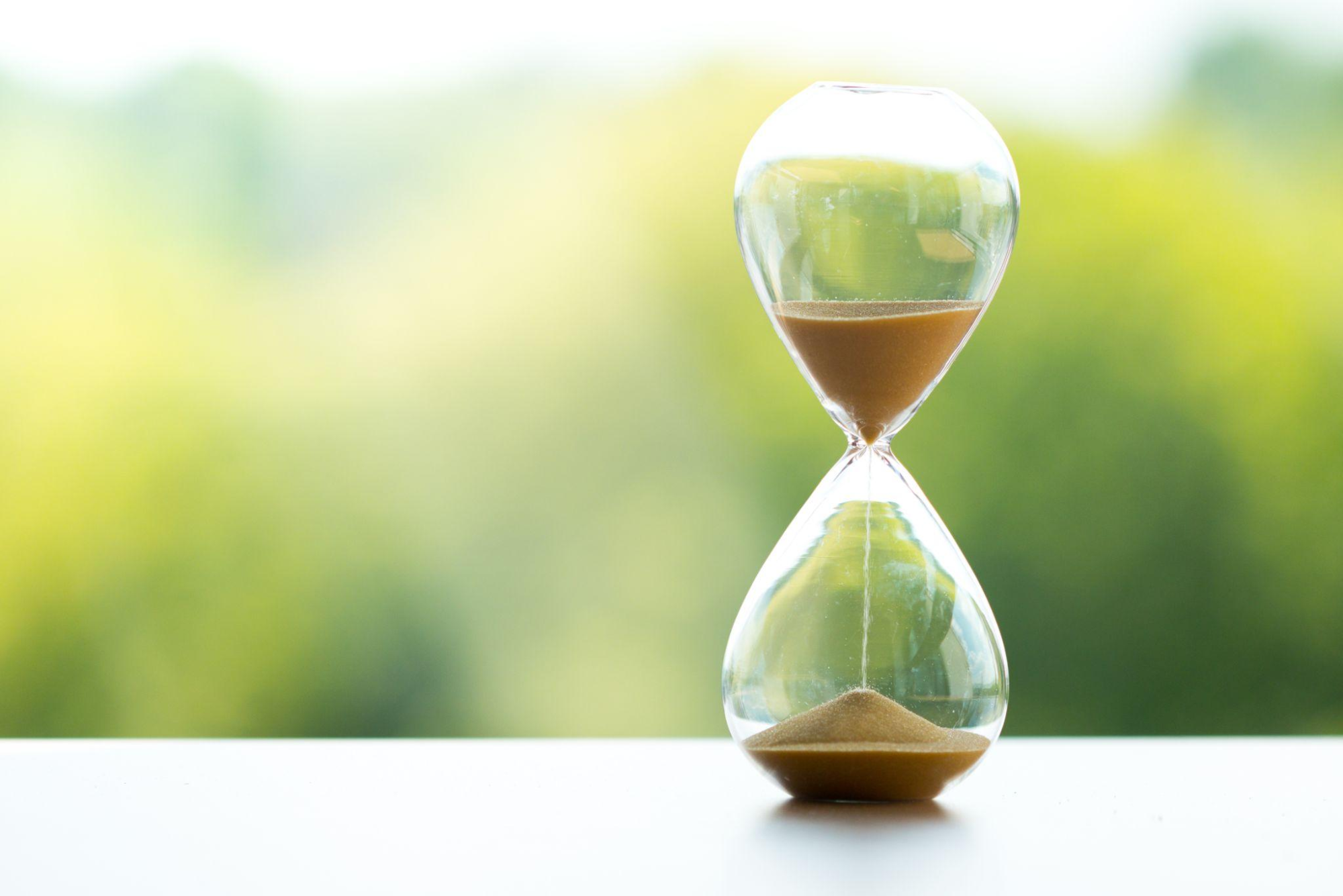 愛猫の葬儀はいつまでにすべき？