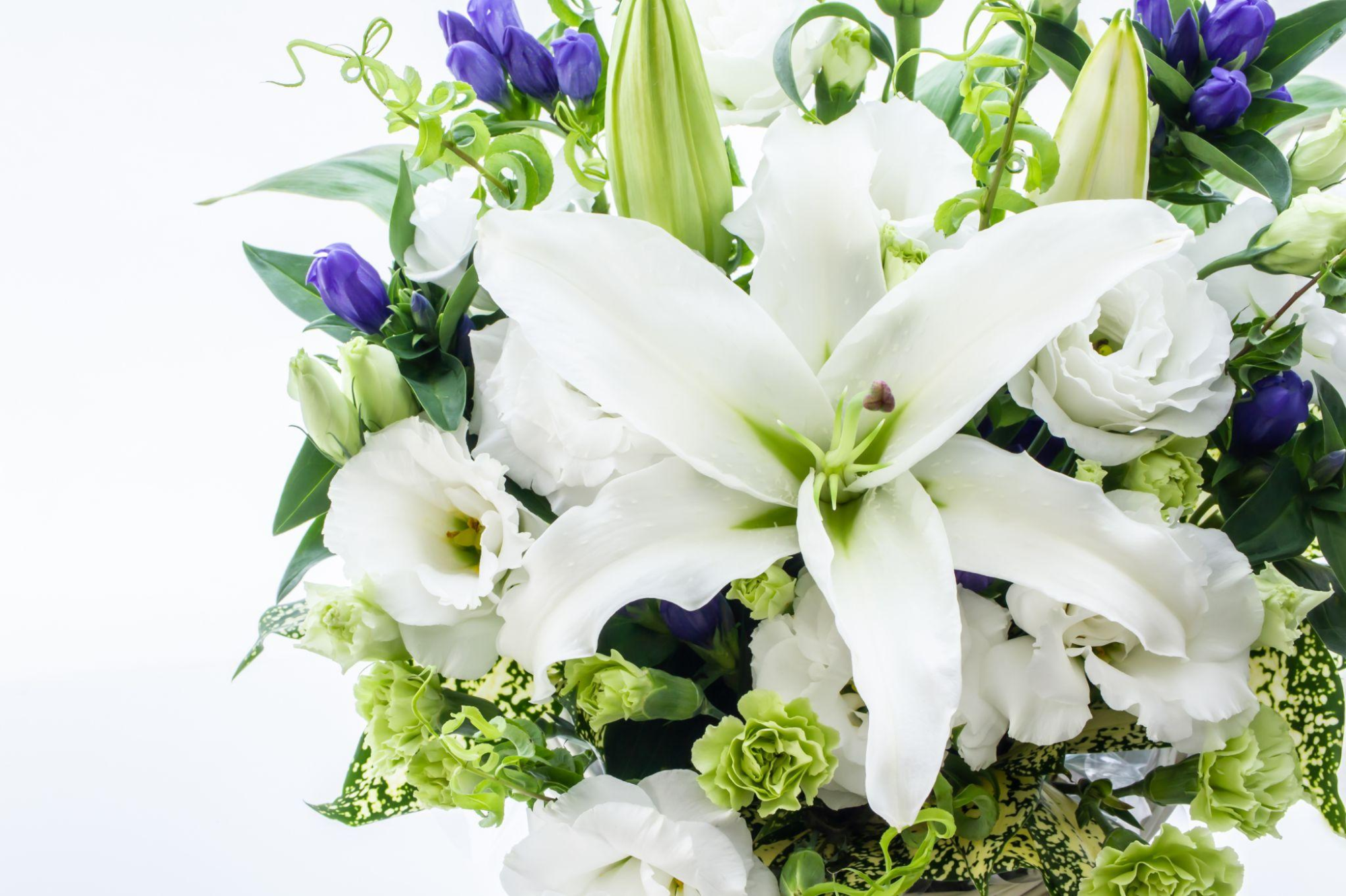 火葬方法によるご遺骨の残り方の違い