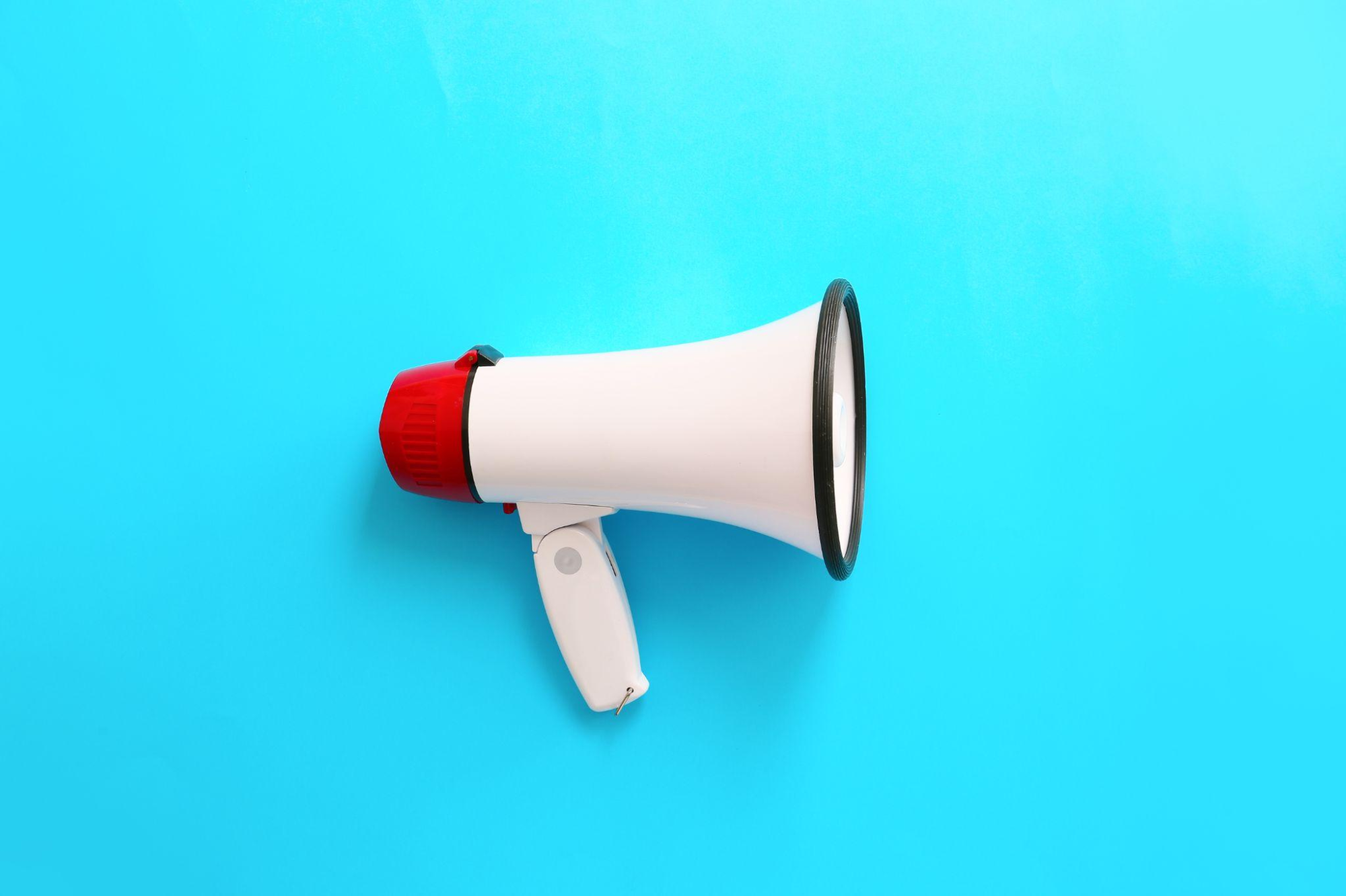 火葬当日まで愛犬を安置する際の注意点