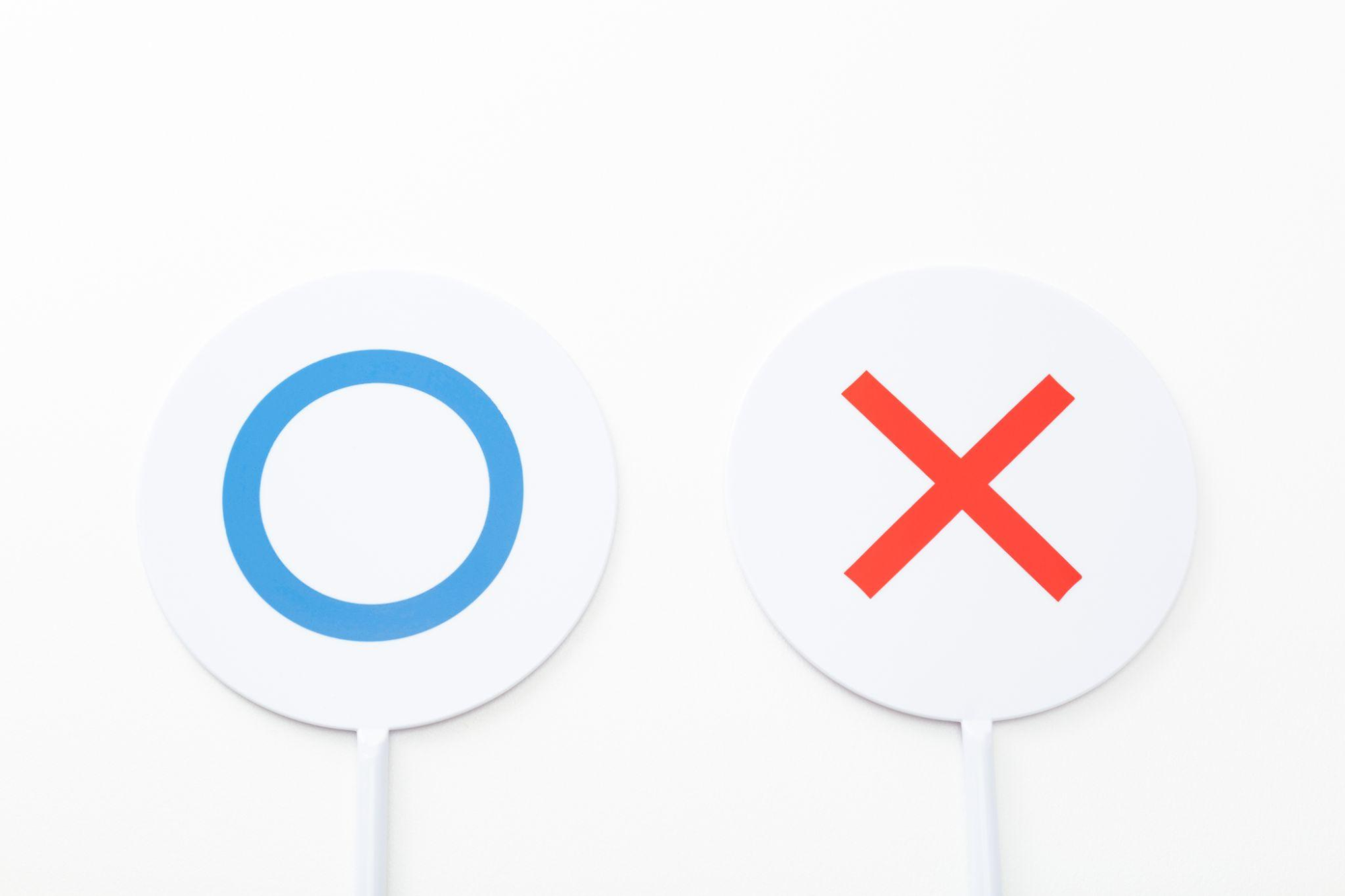 副葬品として愛猫と一緒に火葬できるもの・できないもの