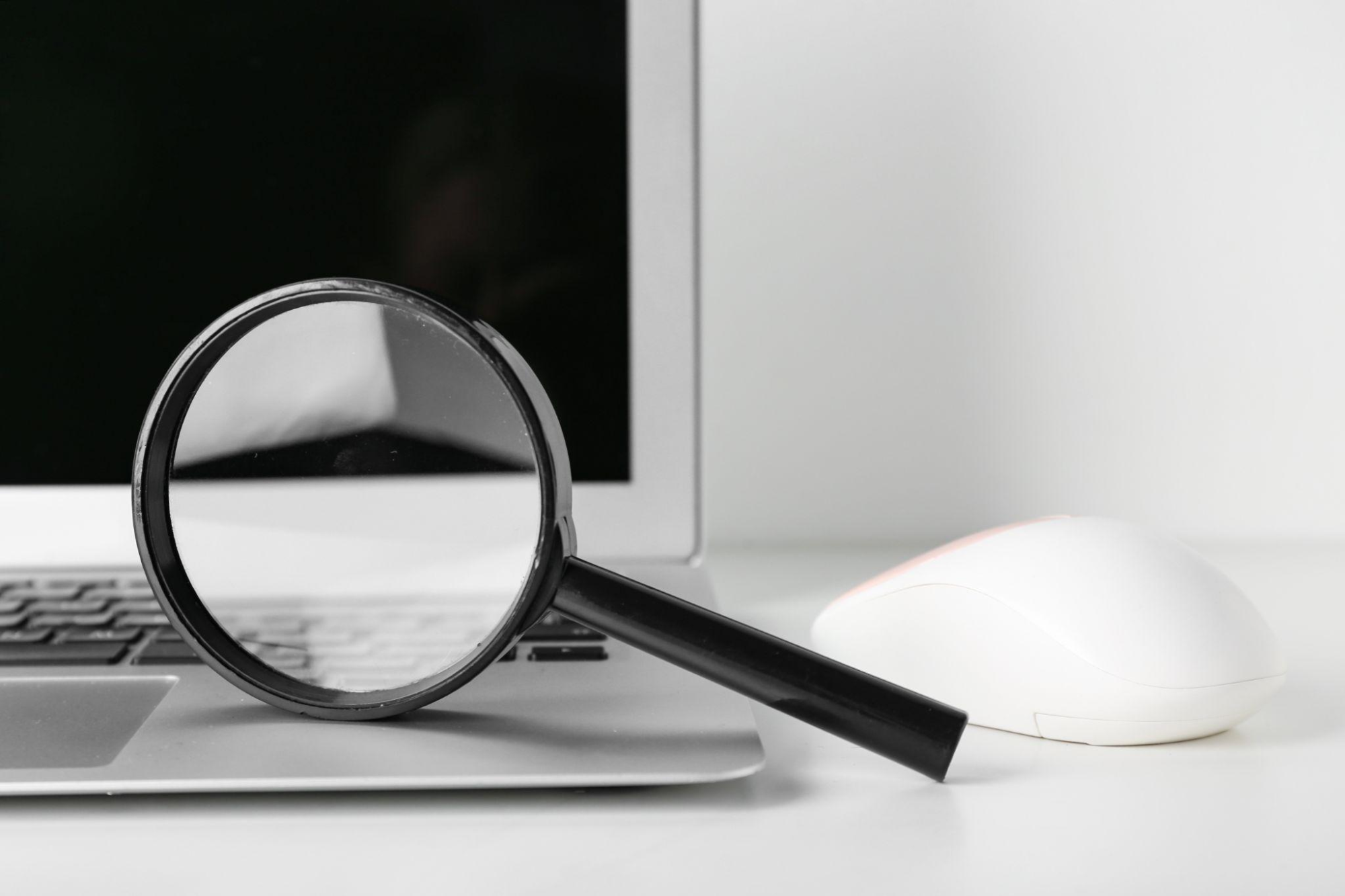 犬の火葬場・葬儀社選びで迷った時のポイント