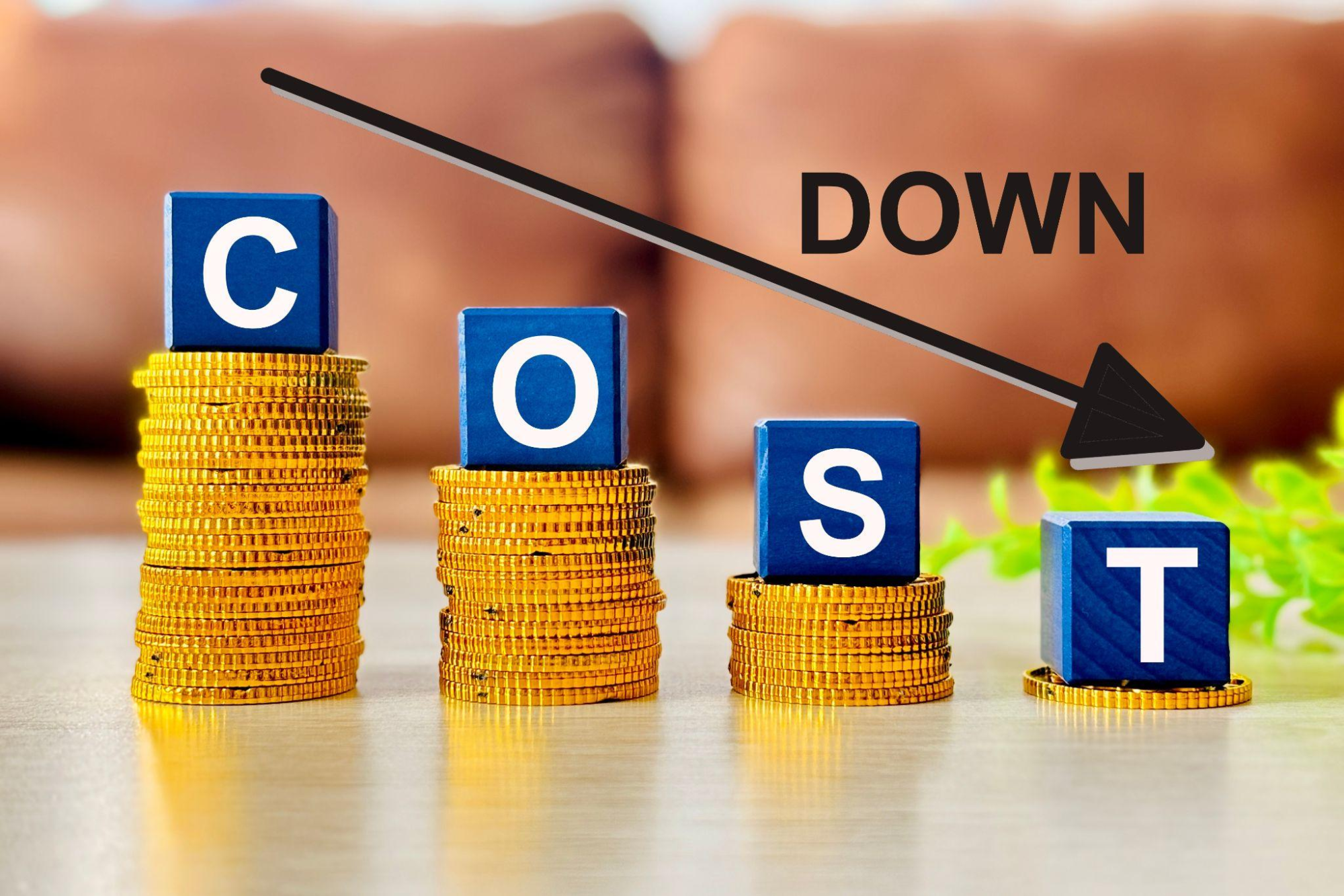 猫の火葬費用を抑えるためにできること