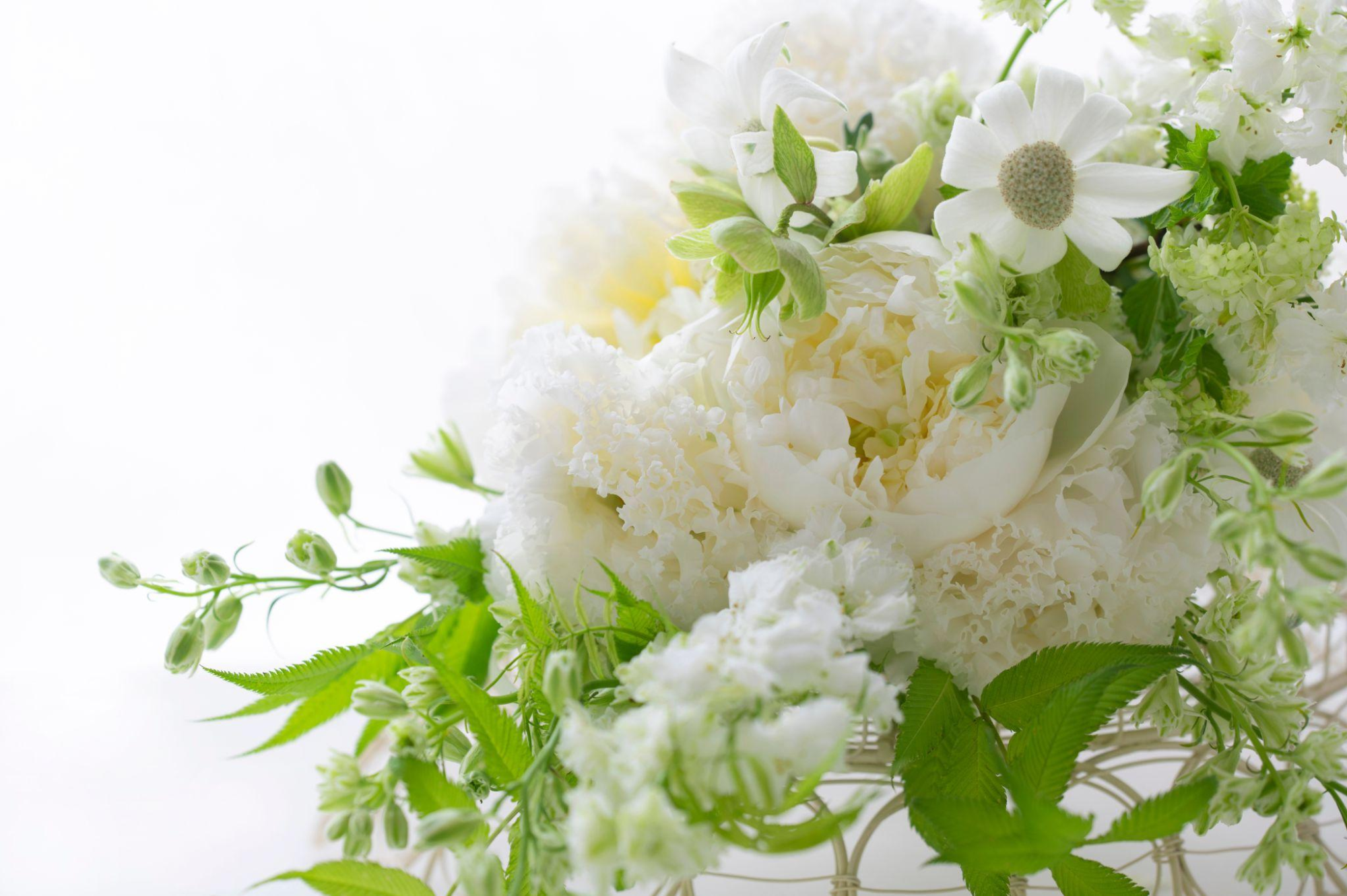 後悔しない猫の火葬のためにできること